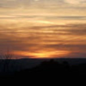 Meet your Posher, Cheyanne